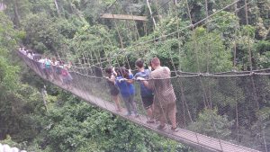 15936371_1613651685609738_6666541532352922524_o